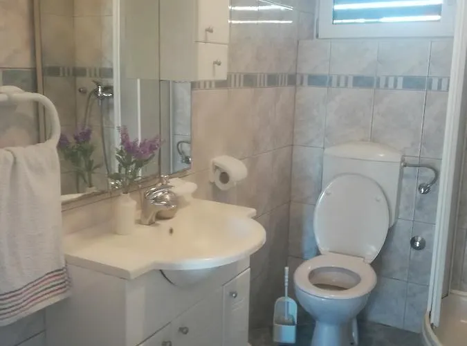 Dama דירה ביוגראד נה מורו